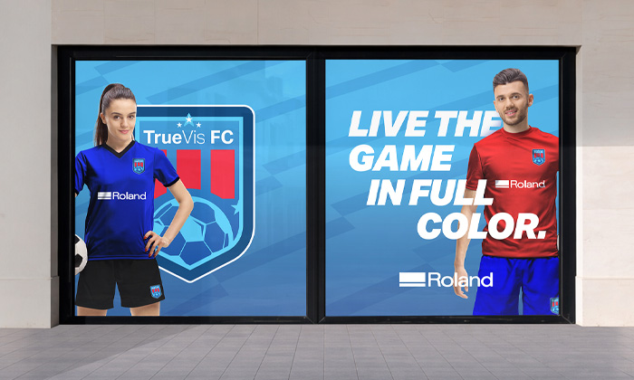 window graphics