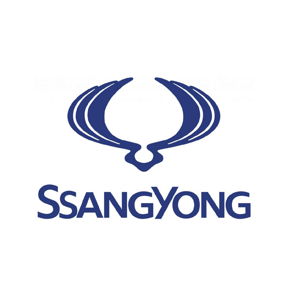 Ssangyong Chapter 8 Kits