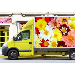 Avery MPI 2801 Digital Gloss White Removable 50m roll