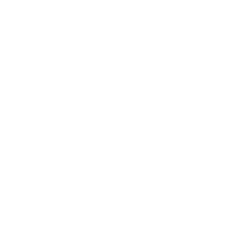 ACCEPTED FILE FORMATS ACCEPTED FILE FORMATS