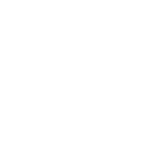 Vehicle Livery Item